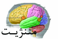 مننژيت غيرچركي (مننژيت ويروسي (