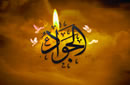 استدلال بر امامت در نوجواني