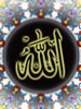 در پناه الله