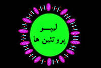لیپو پروتئین ها