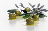 خاصيت ضدسرطاني روغن زيتون