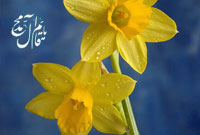 لايق توجه