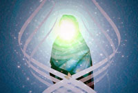 سيرى در آيات حجاب