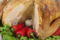 مرغ طلایی با پنی