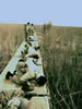 يك رنگ شدن