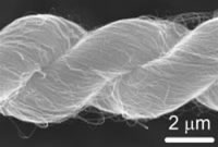 نازک تر از تارمو