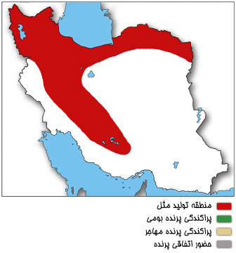 نقشه پراکندگی