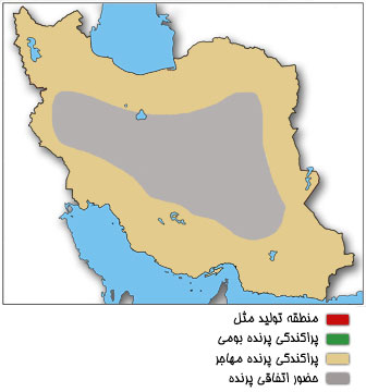 نقشه پراکندگی