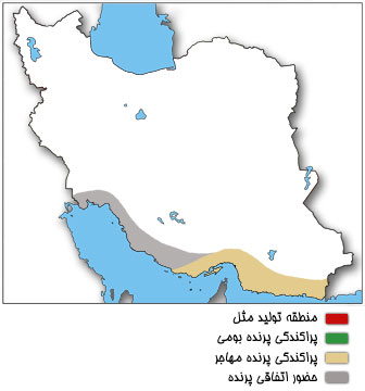 نقشه پراکندگی