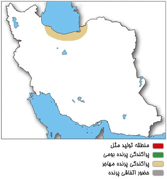 نقشه پراکندگی