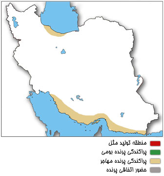 نقشه پراکندگی