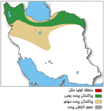 نقشه پراکندگی