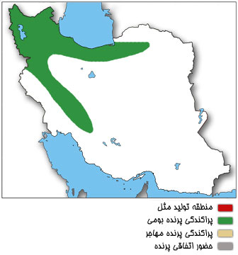 نقشه پراکندگی