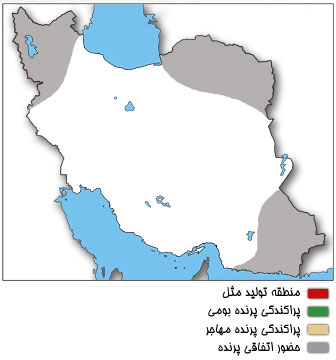 نقشه پراکندگی