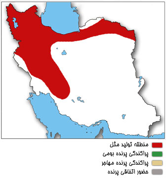 نقشه پراکندگی