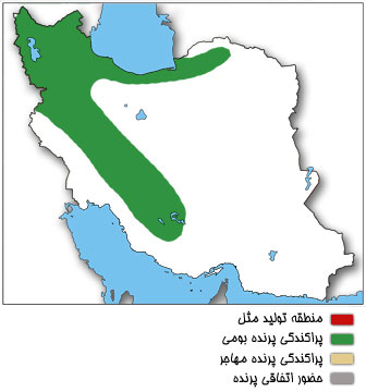 نقشه پراکندگی