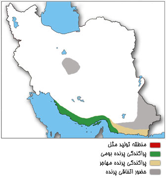 نقشه پراکندگی