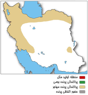 نقشه پراکندگی