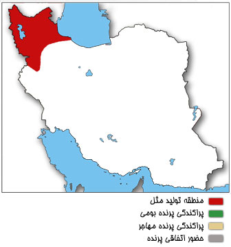 نقشه پراکندگی