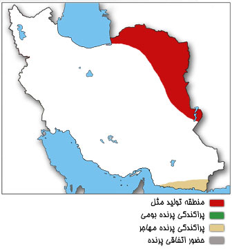 نقشه پراکندگی