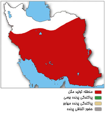 نقشه پراکندگی