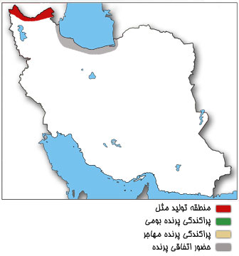 نقشه پراکندگی