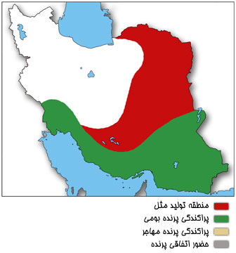 نقشه پراکندگی