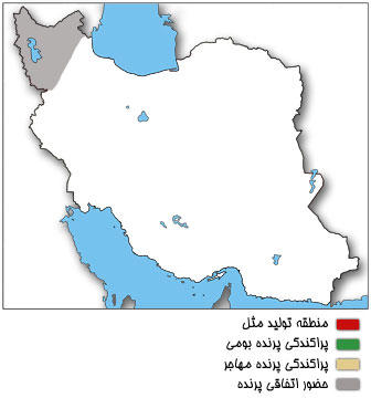 نقشه پراکندگی