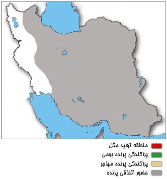 نقشه پراکندگی