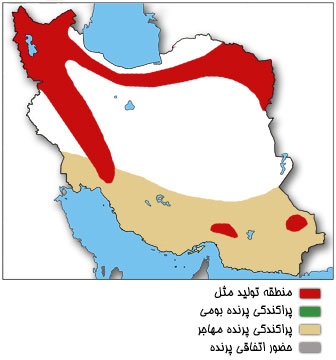 نقشه پراکندگی