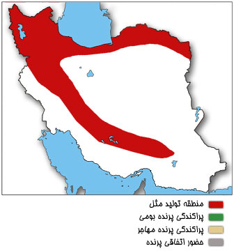 نقشه پراکندگی