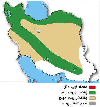 نقشه پراکندگی