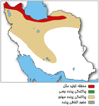 نقشه پراکندگی