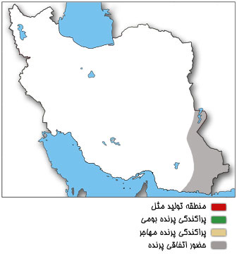 نقشه پراکندگی