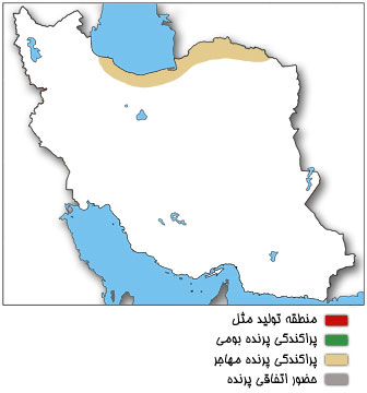 نقشه پراکندگی