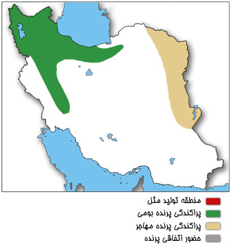 نقشه پراکندگی