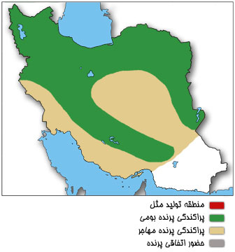 نقشه پراکندگی