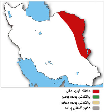 نقشه پراکندگی