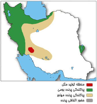 نقشه پراکندگی