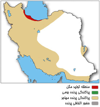 نقشه پراکندگی