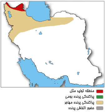 نقشه پراکندگی