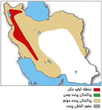 نقشه پراکندگی