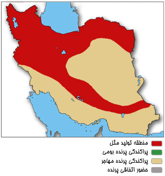 نقشه پراکندگی