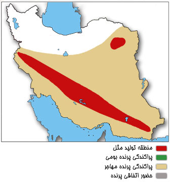 نقشه پراکندگی