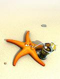 ستاره دریایی با مزه