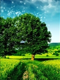 طبیعت سبز
