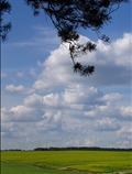 دشت سر سبز