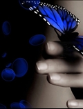 دست و پروانه