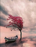 درخت و قایق