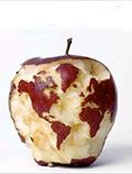 قاره ها روی سیب